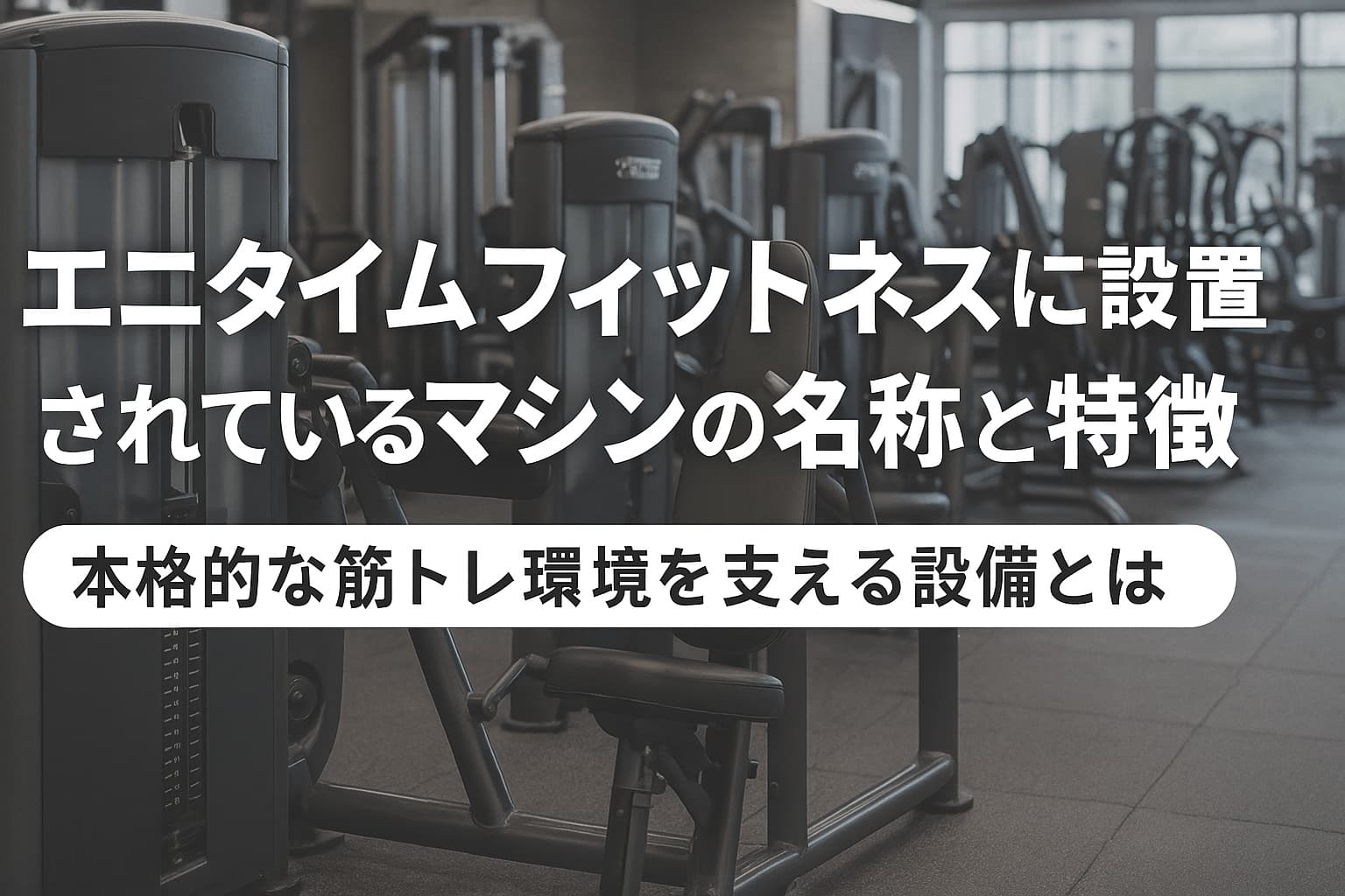 エニタイムフィットネス　マシン名称
